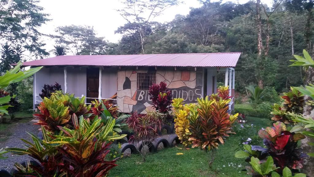 Nacientes Lodge Bijagua Eksteriør bilde