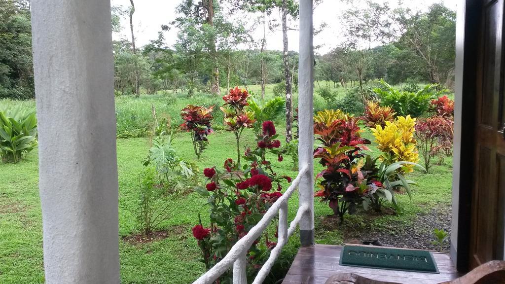 Nacientes Lodge Bijagua Eksteriør bilde